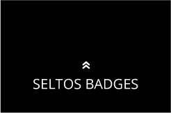 Kia Seltos Badges